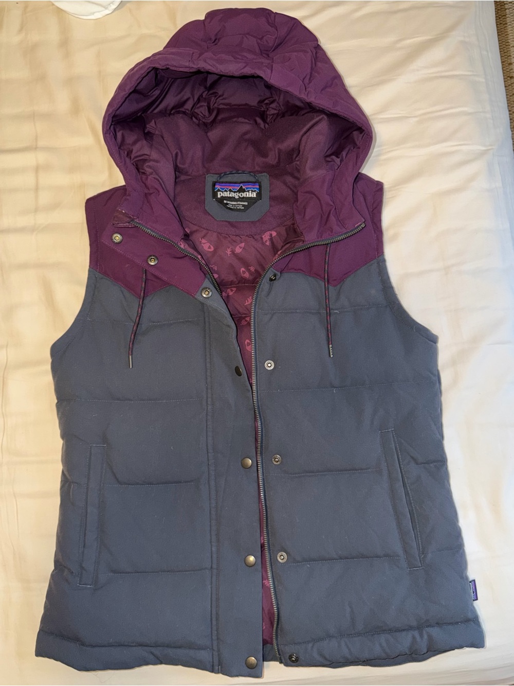 Patagonia Puffer Bivy Hooded Down Vest